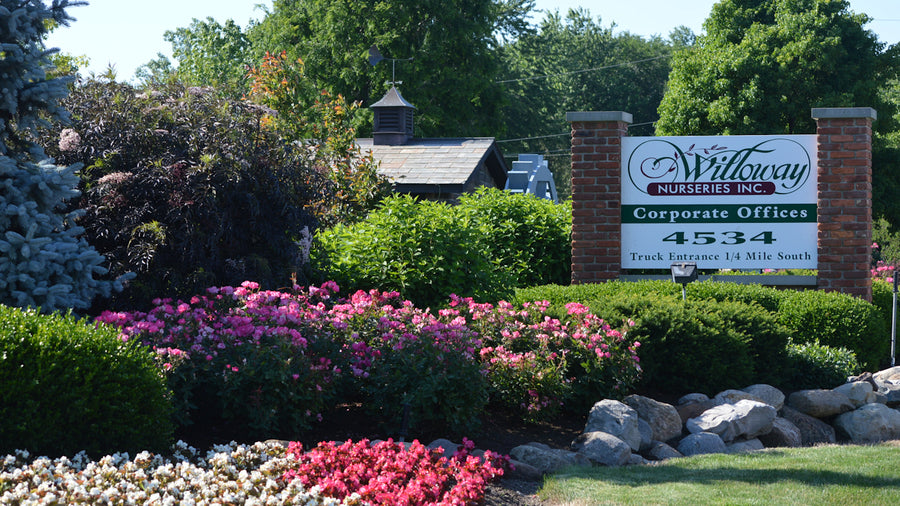 Willoway Nurseries cover