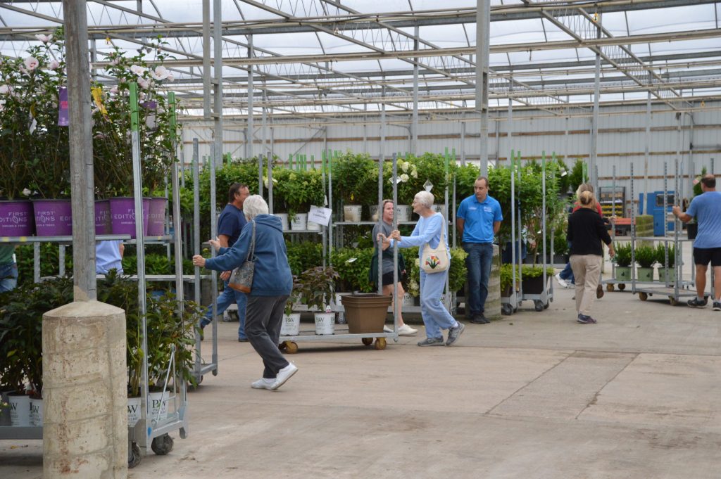 Willoway Nurseries First Community Plant Sale Day
