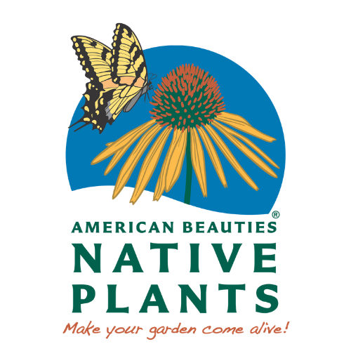 American Beauties®