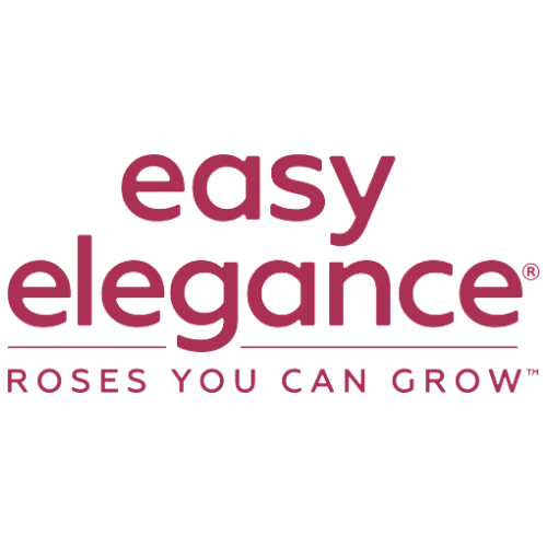 Easy Elegance®