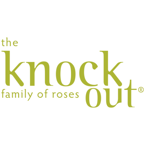 Knock Out Roses®