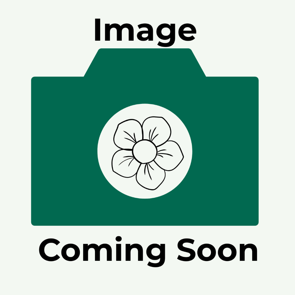 Image coming soon.png