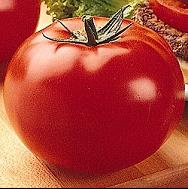 PTW-K TOMATO BIG BEEF.jpg
