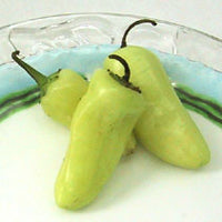 Pepper%20Hungarian%20Hot[1].jpg