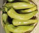pepper%20hungarian%20sweet[1].jpg