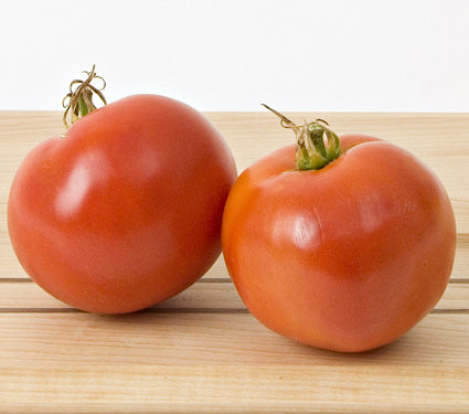 tomato%20big%20boy[1].jpg