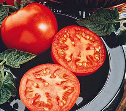 tomato%20husky%20red[1].jpg